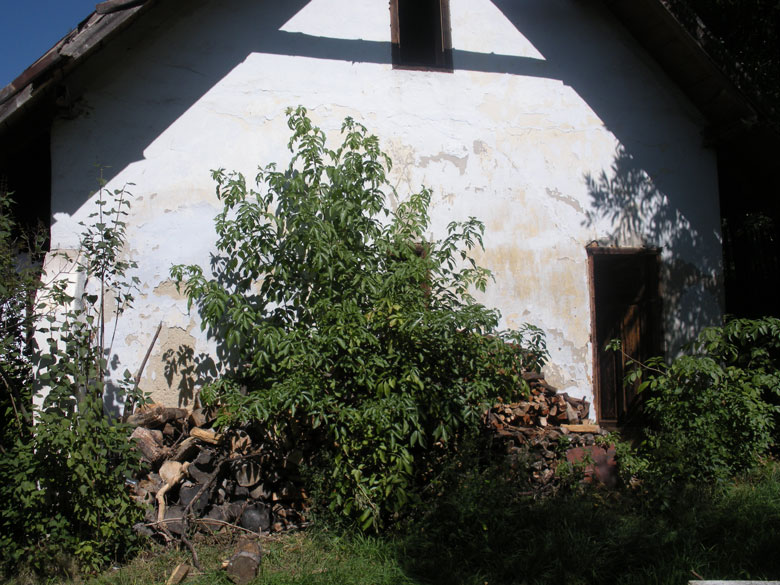 Exterior Conac Arefu